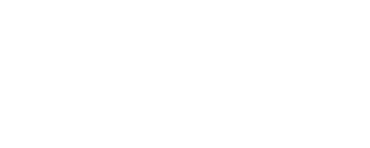 Blue Ridge Consulting Group